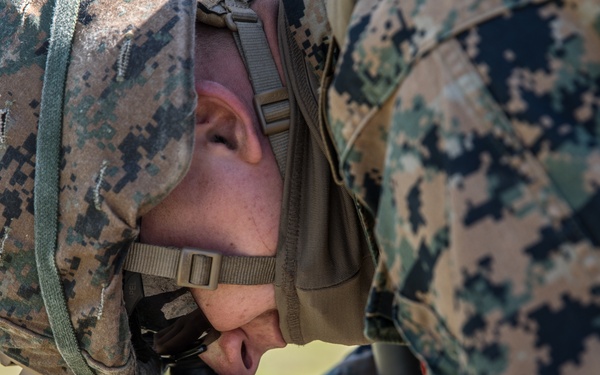 V3/1 Fire Support Team Training