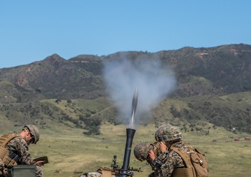 V3/1 Fire Support Team Training