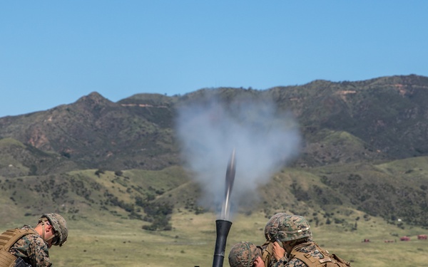 V3/1 Fire Support Team Training