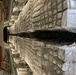 167th Airlift Wing transports testing kits to U.S.