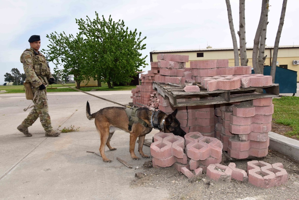 Incirlik sentries unwavered by COVID-19
