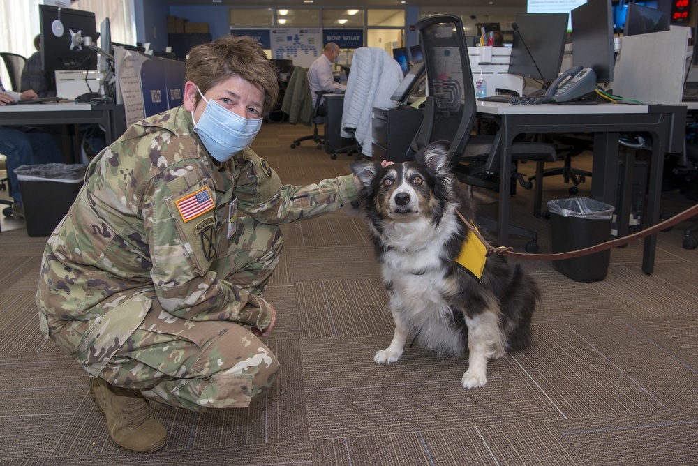 Colorado National Guard Members support the COVID-19 Response Efforts