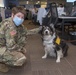 Colorado National Guard Members support the COVID-19 Response Efforts