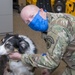 Colorado National Guard Members support the COVID-19 Response Efforts