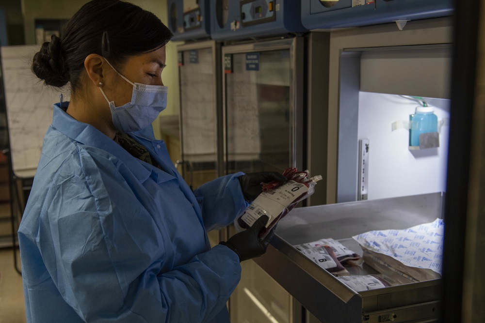 Daily Operations in the Blood Bank Aboard USNS Comfort