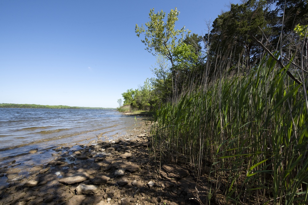 Earth Day 2020 focuses on climate action for 50th Anniversary
