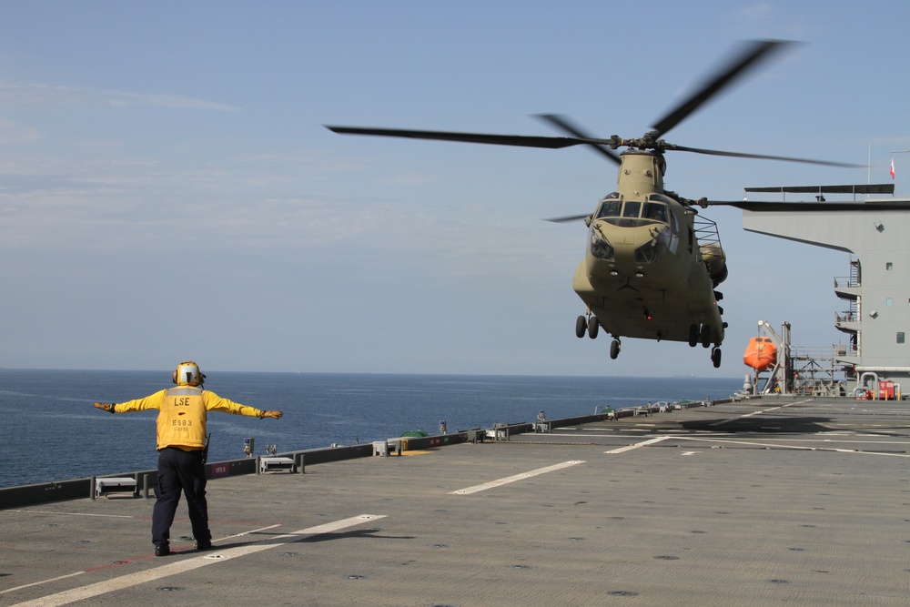 U.S. Army, U.S. Navy Joint Exercise