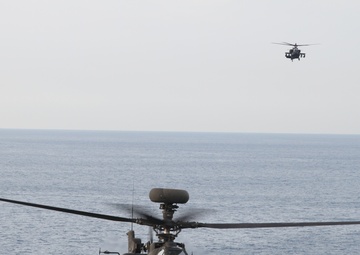 U.S. Army, U.S. Navy Joint Exercise