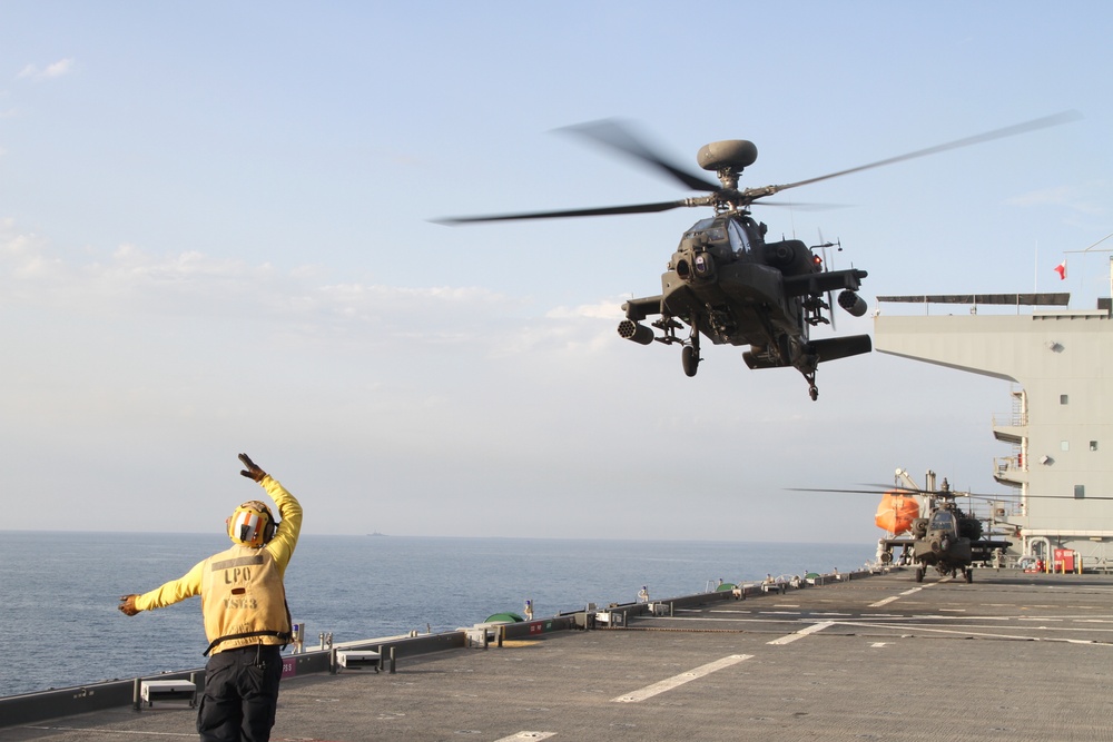 U.S. Army, U.S. Navy Joint Exercise