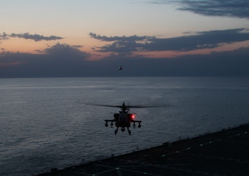 U.S. Army, U.S. Navy Joint Exercise