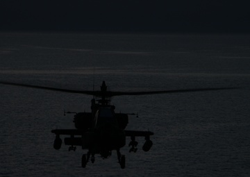 U.S. Army, U.S. Navy Joint Exercise