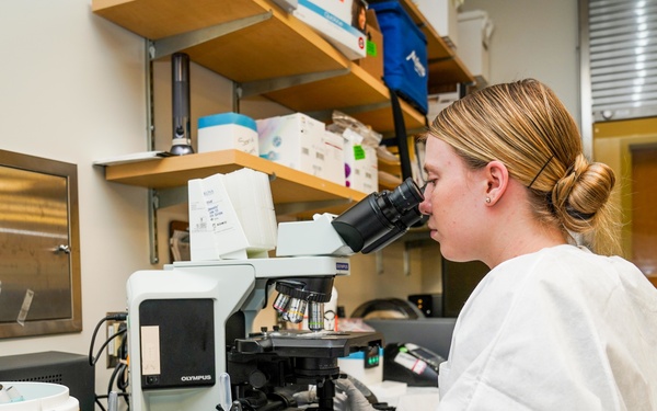 Finding Microscopic Answers NHG