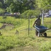 Garden Project at Food Bank of North East Georgia