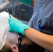 JB Charleston dental personnel continue the mission