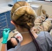 JB Charleston dental personnel continue the mission
