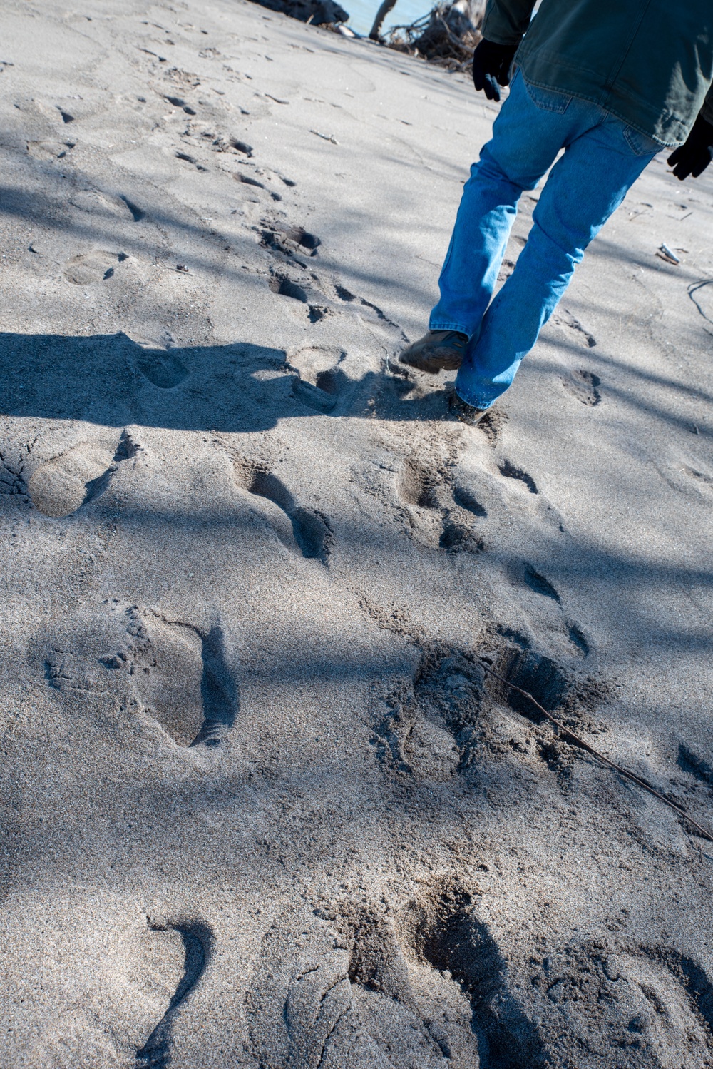 Buffalo District conducts 2020 Presque Isle beach walk