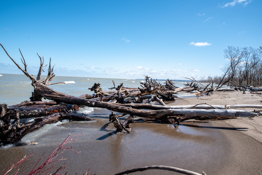 Buffalo District conducts 2020 Presque Isle beach walk