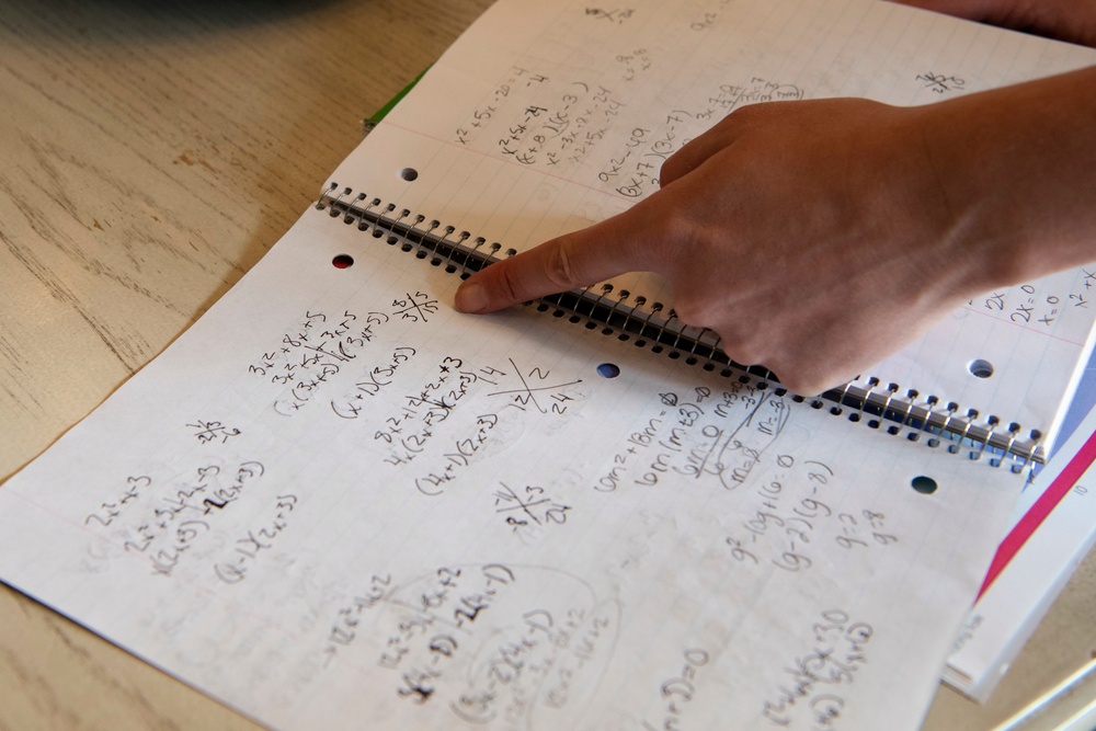 Virtual school during COVID-19: Testing parents’ perseverance