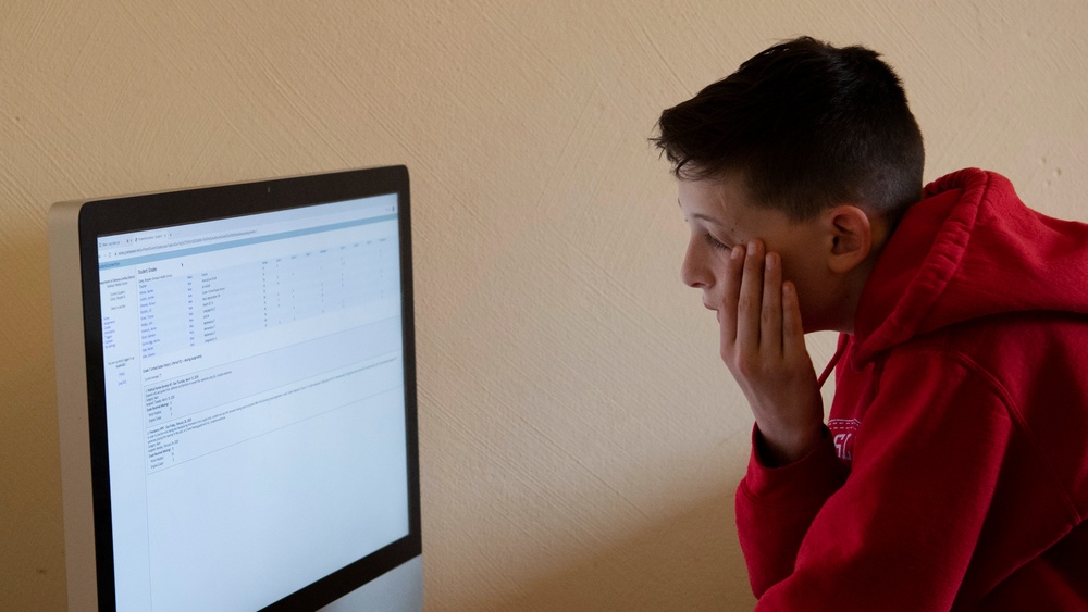 Virtual school during COVID-19: Testing parents’ perseverance
