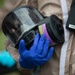 Task Force 31 disinfects care facility