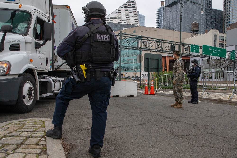 United We Stand: the COVID-19 pandemic in NYC