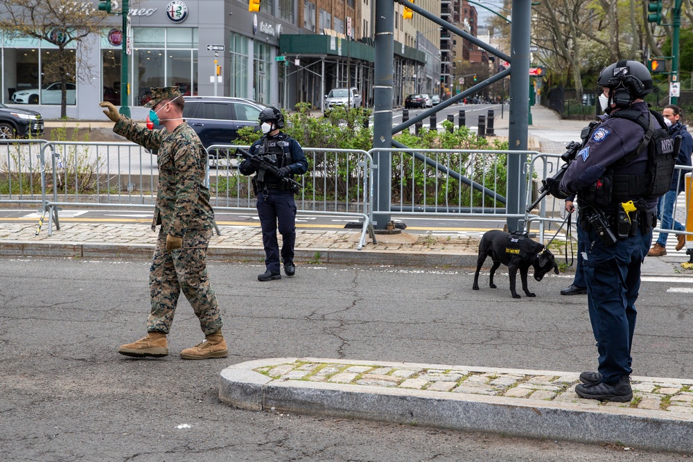 United We Stand: the COVID-19 pandemic in NYC