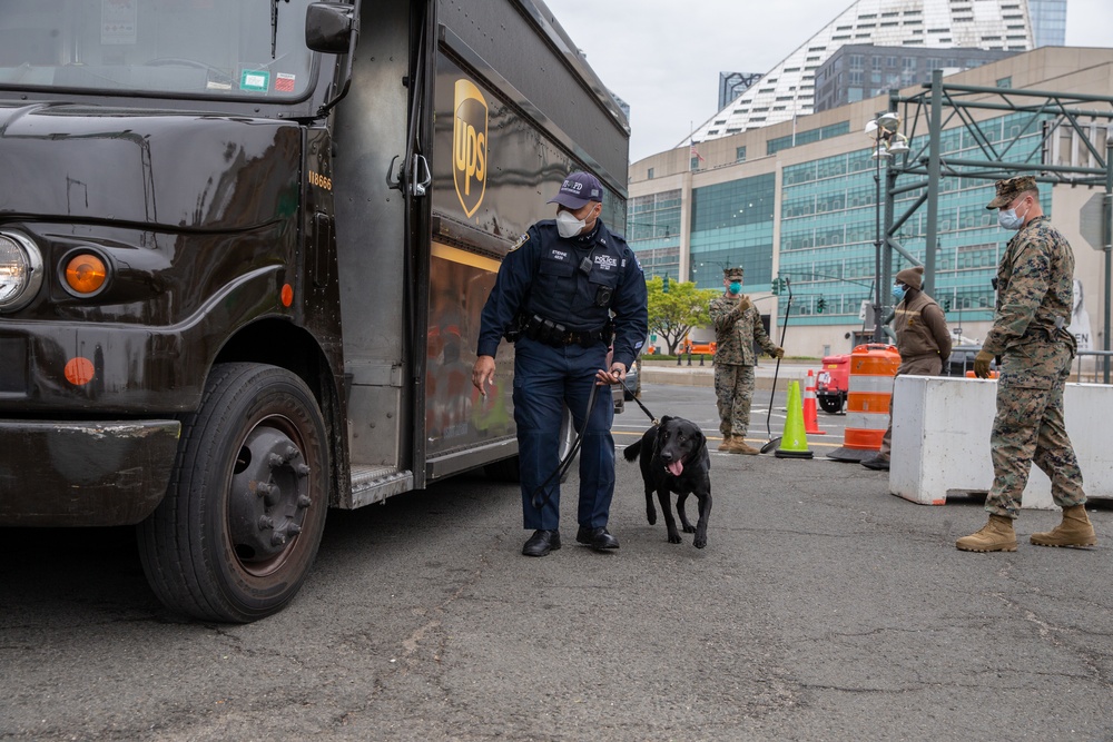 United We Stand: the COVID-19 pandemic in NYC