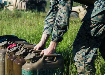 Feel the Sting with 3rd LAAD