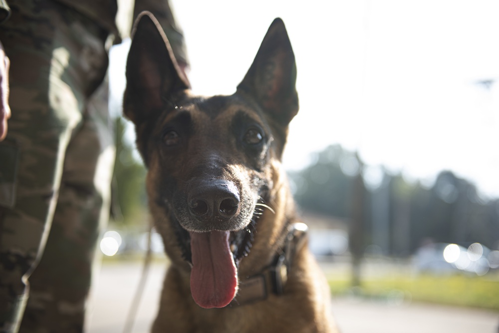 39th SFS remembers MWD Bruno