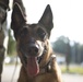 39th SFS remembers MWD Bruno