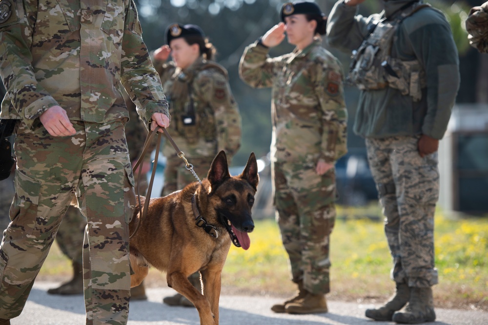 39th SFS remembers MWD Bruno