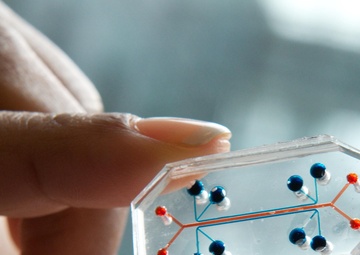 Humanoid Cells Testing