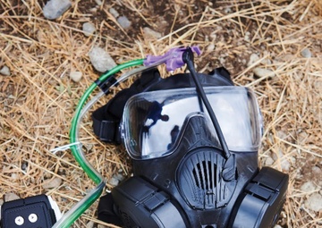 From Outer Space to Terra Firma