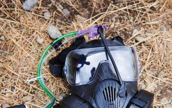 From Outer Space to Terra Firma