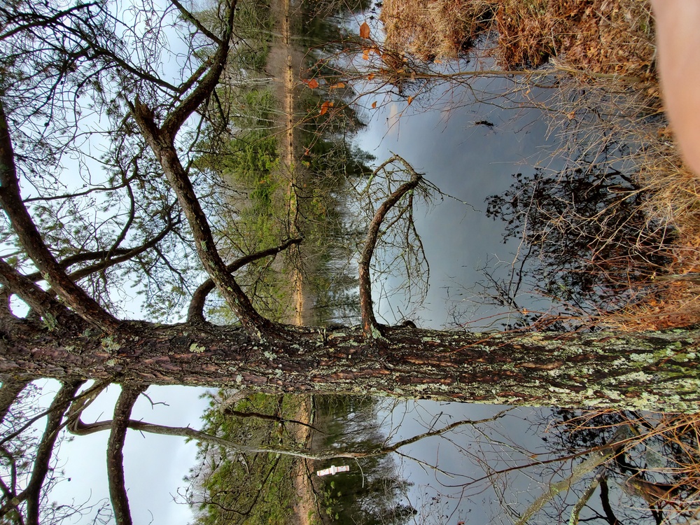 Fort McCoy's Swamp Pond Recreation Area