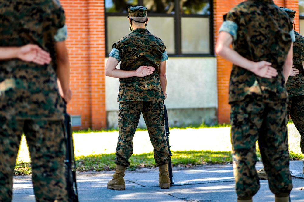 Echo Co. Series Commander Inspection
