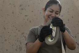 ‘Net’working services for Coalition aerial support