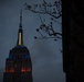 Empire State Building honors Coast Guard response to COVID-19