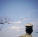 Thunderbirds and Blue Angels Demonstrate over Delaware in Support of First Responders