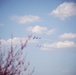 Thunderbirds and Blue Angels Demonstrate over Delaware in Support of First Responders