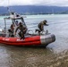 Bravo Company swims ashore