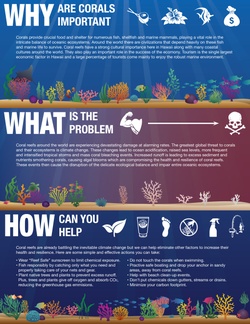 Save The Corals [Image 2 of 2]