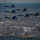 USAF Thunderbirds &amp; USN Blue Angels Perform America Strong Flyover