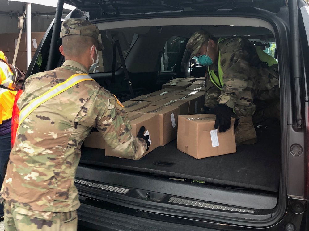 NY National Guard responds for Operation COVID-19 in NYC