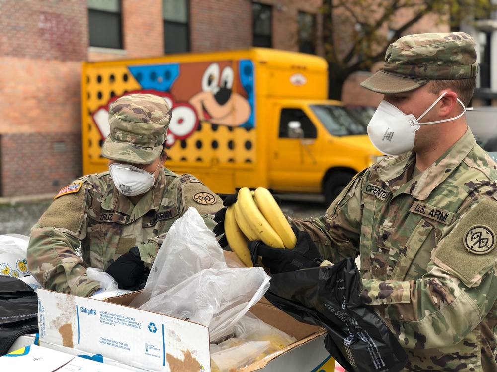NY National Guard responds for Operation COVID-19 in NYC