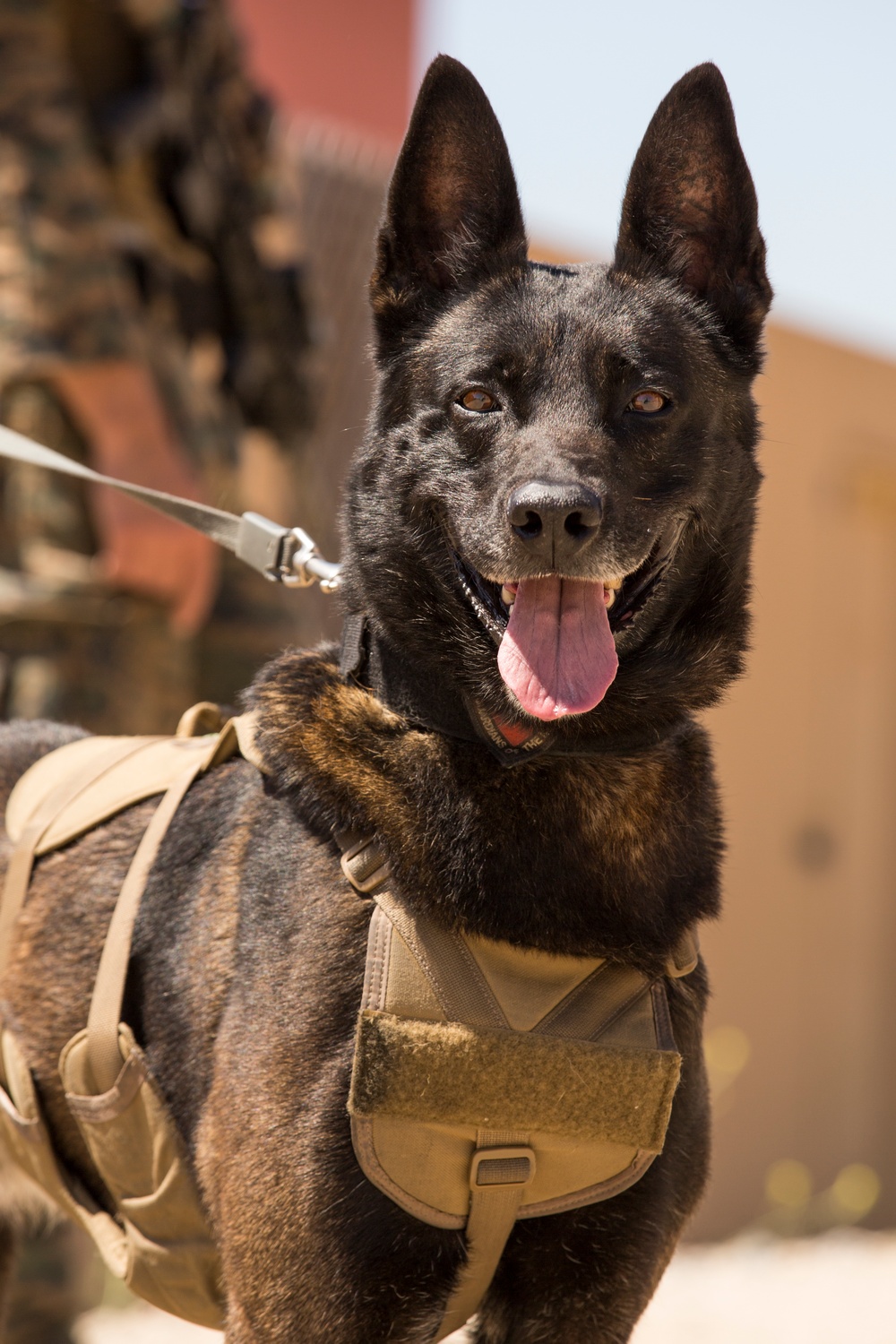 15th MEU Marines hone tactical raid, patrolling techniques