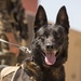 15th MEU Marines hone tactical raid, patrolling techniques