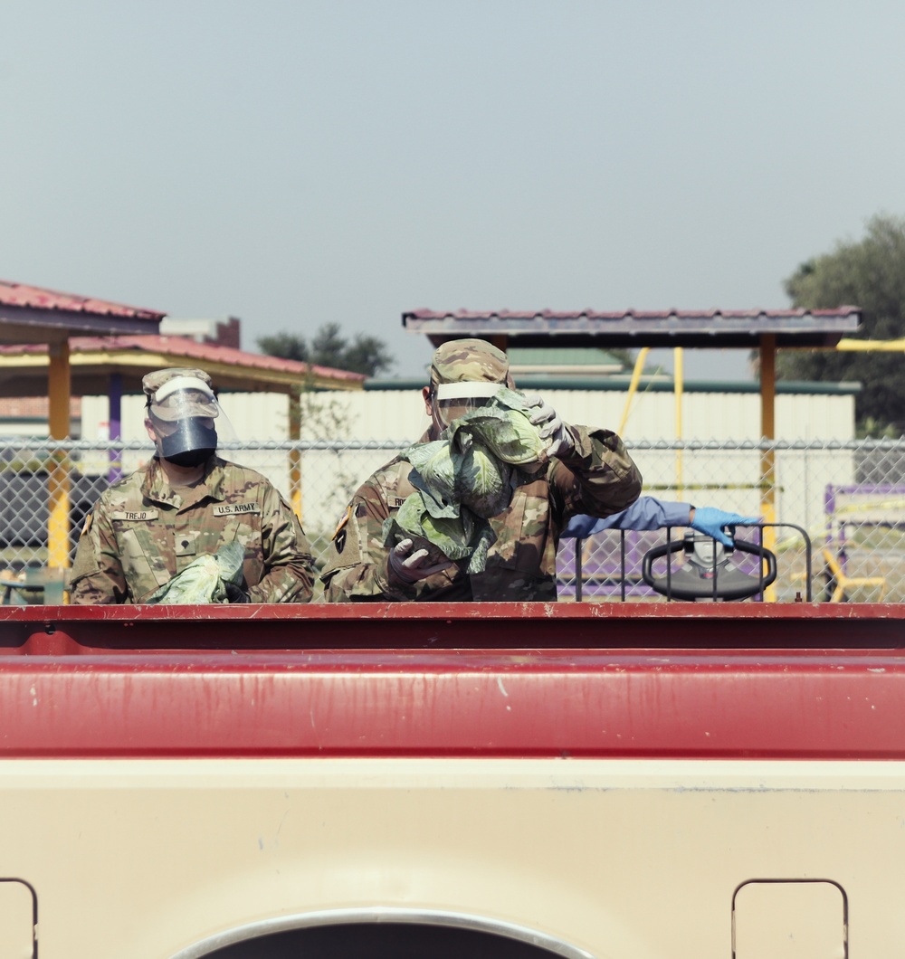 Texas Military Department Soldiers support food distribution in south Texas