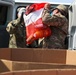 Texas Army National Guard Soldiers team up with local Food Banks to feed the community