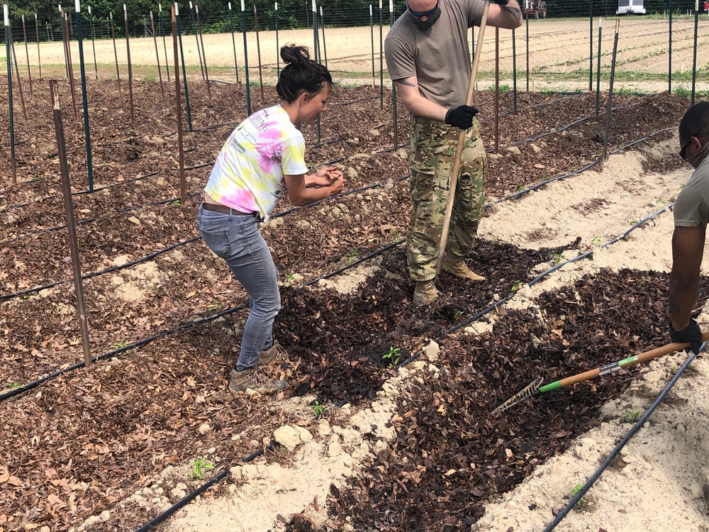 North Carolina Army National Guard Farming for a good Cause